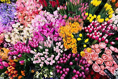 开发者对《恐怖巧克力工厂》要求高 满意达标才会发售