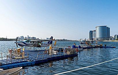 《宝可梦 朱＆紫》介绍影片公开 11月18日登陆NS