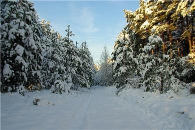 方块平台对战游戏《Ninza》现已提供试玩Demo 8月28日正式推出