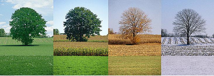 《怪物猎人：崛起》狂热玩家6个月升满千把折纸斩斧